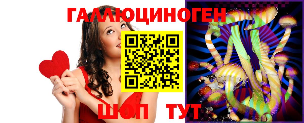 Галлюциногенные грибы MAGIC MUSHROOMS  Вход с VPN  Звенигород 