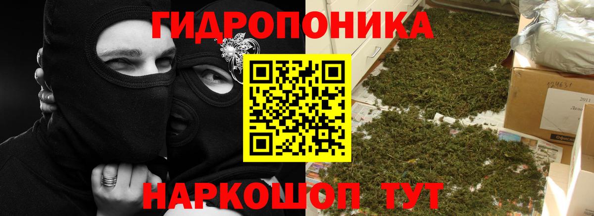 Канабис ГИДРОПОН Звенигород